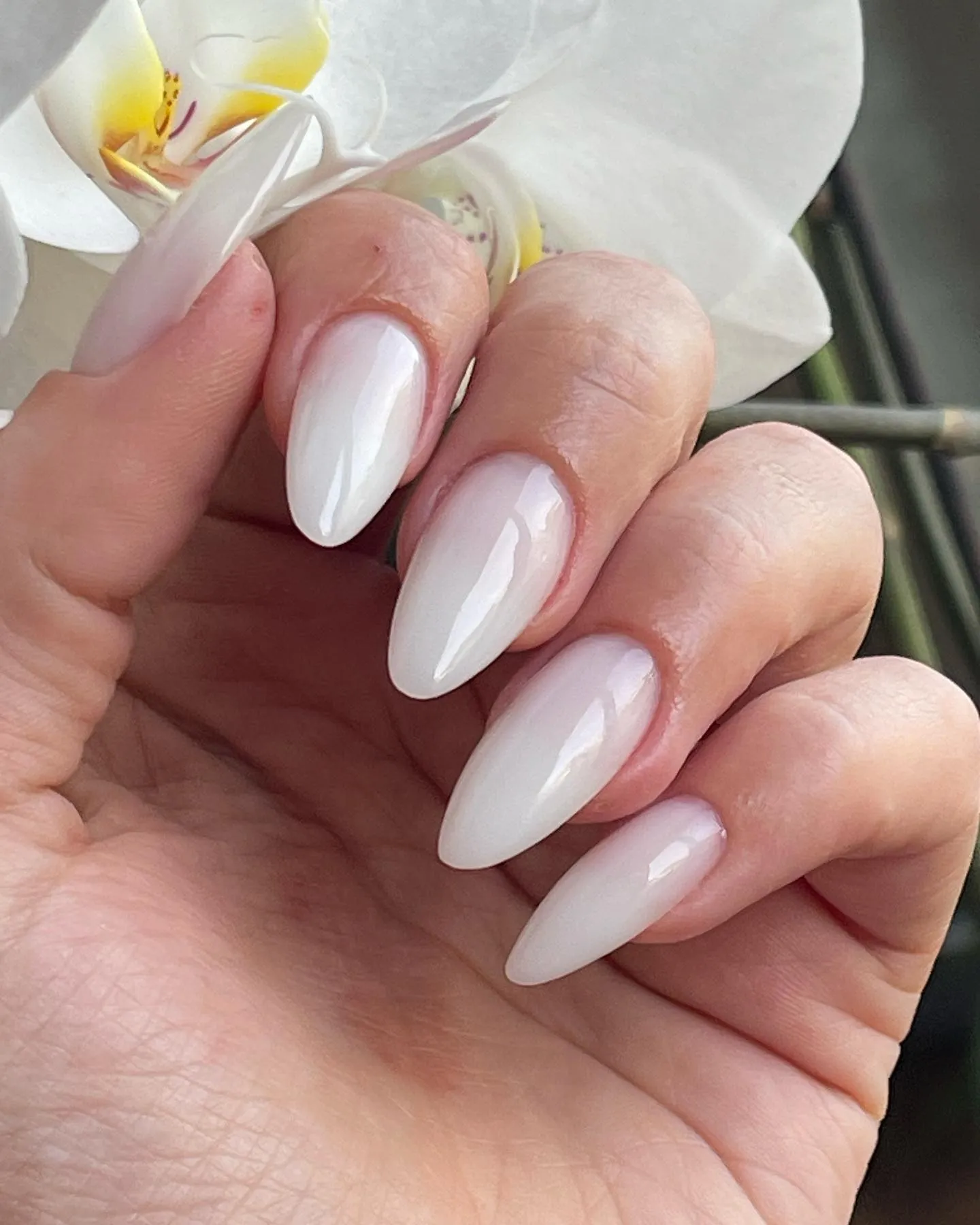 Cat Eye Nail Design 15 — ImagiNails Zürich